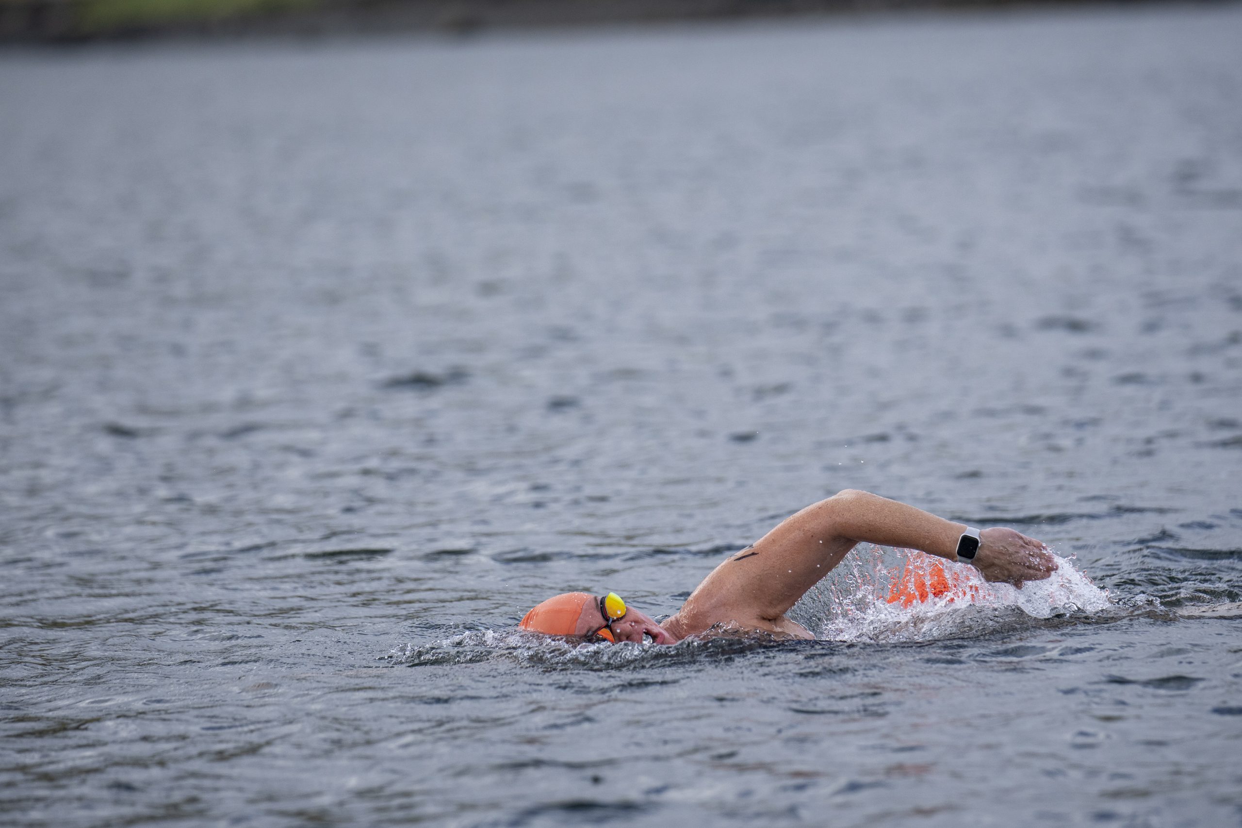 The 5 Best Open Water Swimming Spots Near Reykjavik